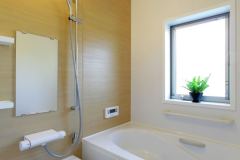 tmed008