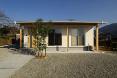 tmed013